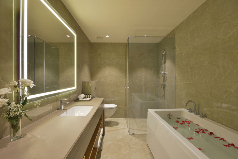 Bathroom 4, Treat Hotel Nashik City Center, Nashik