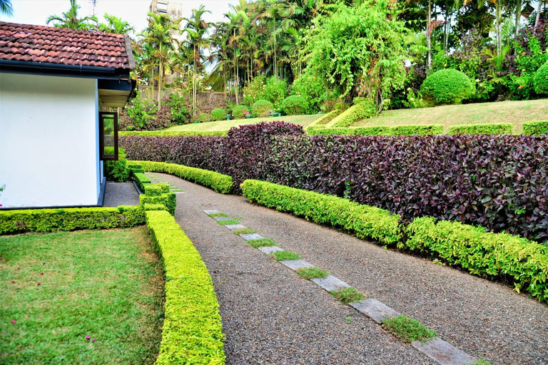 Others 5, Camellia Dwelling, Hikkaduwa