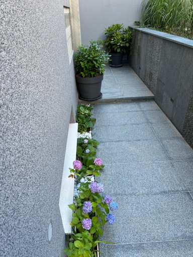 Exterior view 3, Villa Mare's 1, Split