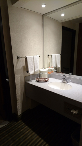 Bathroom 5, Casa Grande Chihuahua, Chihuahua