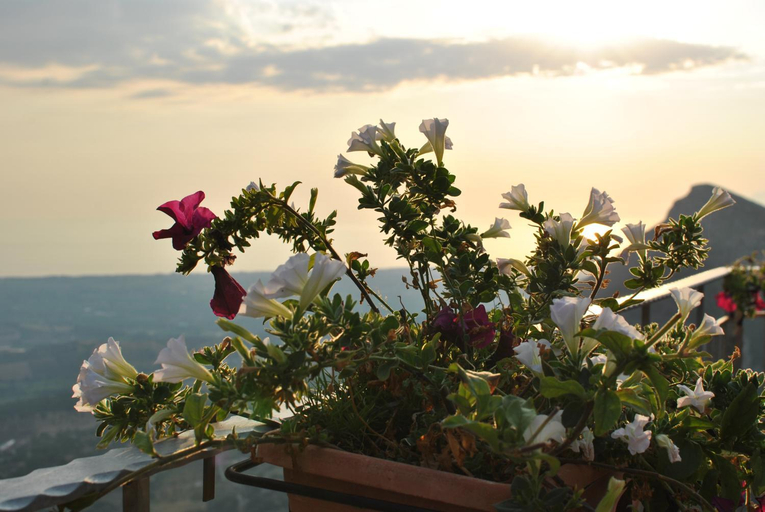 Others 5, B&B Casa Letizia, Salerno