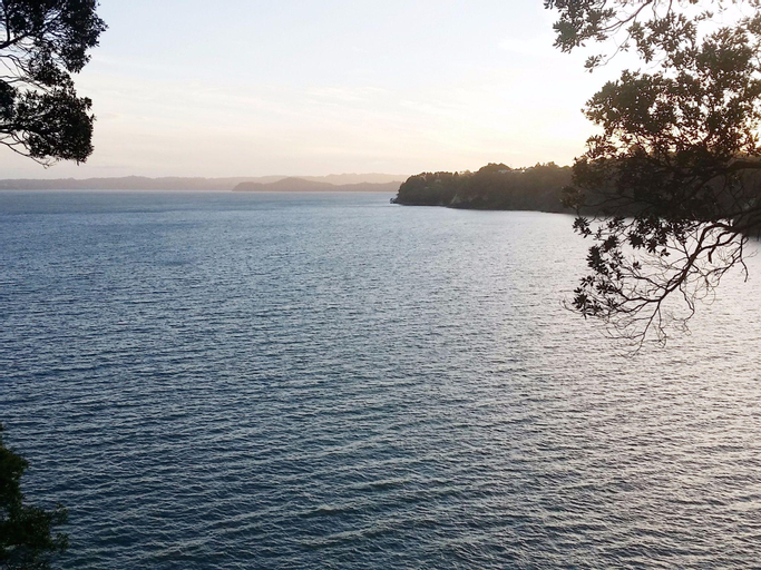 Auckland Clifftop, Waitakere