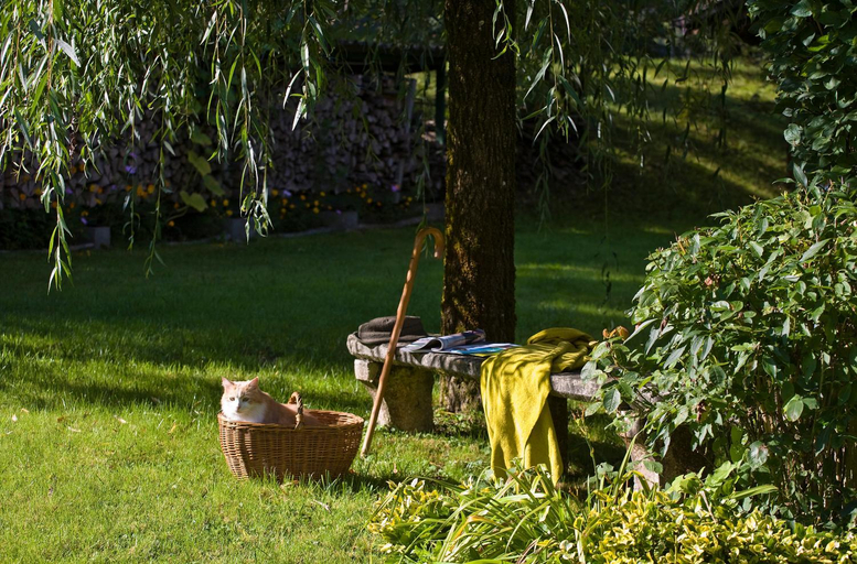 Others 4, Hotel Auberge Du Morge, Savoie