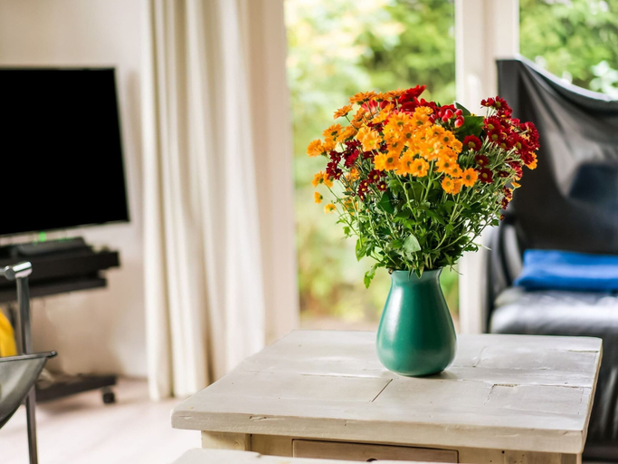 Interior detail, Holiday Home in Stegeren With Pool, Ommen