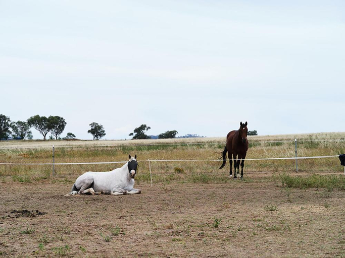 Others 4, Shawwood Estate, Mid-Western Regional - Pt A
