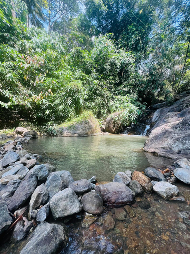 Others 3, Mountcourt Munnar, Idukki