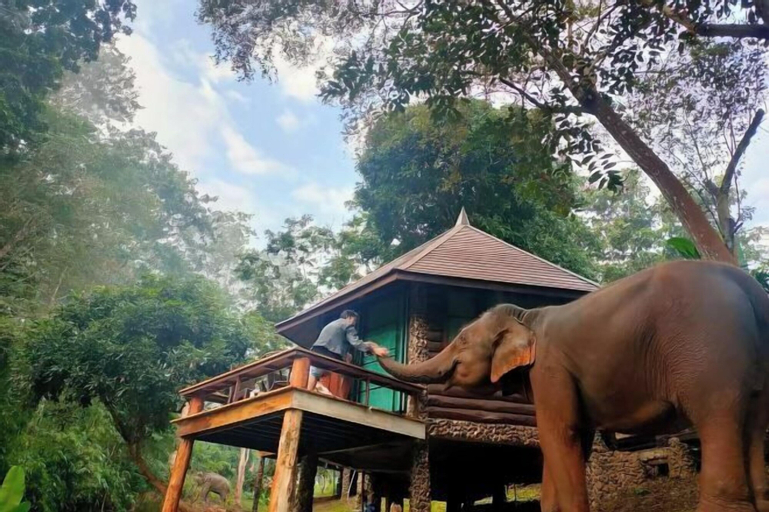 Tawan Riverside - Elephant Resort, Mae Wang