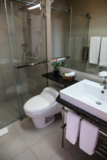 Bathroom 3, Hotel Aladino, Distrito Nacional