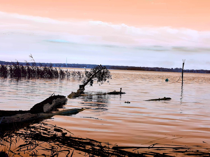 Others 5, Ferienwohnungen Haus Seebad Ueckermunde, Vorpommern-Greifswald