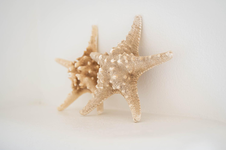 Others 4, Manolis Studios, South Aegean