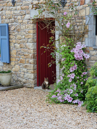 Others 2, Habitat, Hainaut