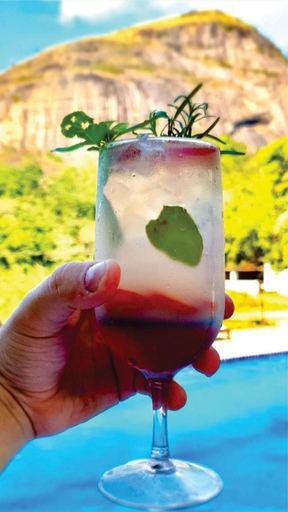 Food & Drinks 4, A Paz e Energia do Rodeadouro, Bonito