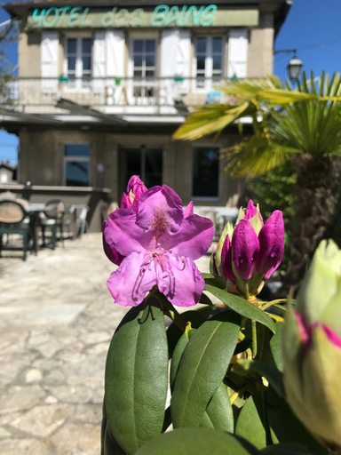Exterior & Views 2, HOTEL DES BAINS, Lot