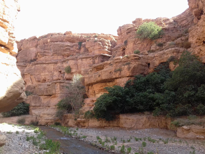 Scenery 26