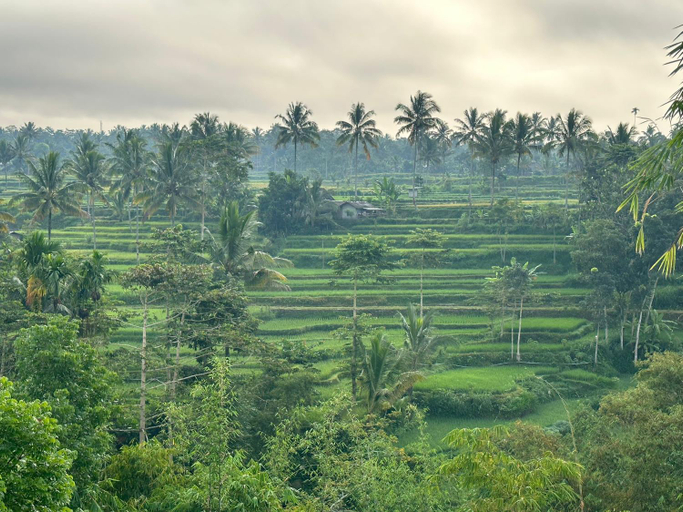 Others 2, Mysha Guest House-Lombok, Lombok