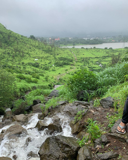 4, Aaryashish, Nashik