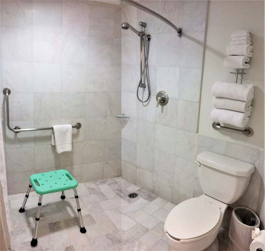 Bathroom 3, BelAir Business a Wyndham Garden Hotel, Mexico City