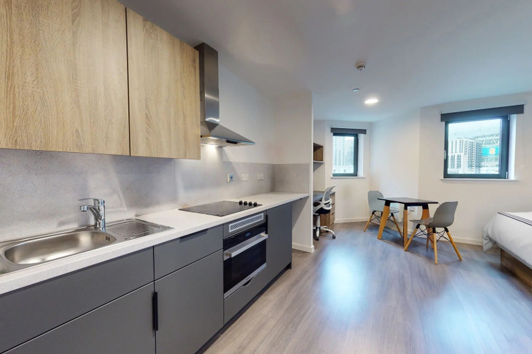 Others 5, Barnard Point in London - Campus Accommodation, London