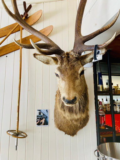 Food & Drinks 2, Feathertop Alpine Lodge, Falls Creek Alpine Resort