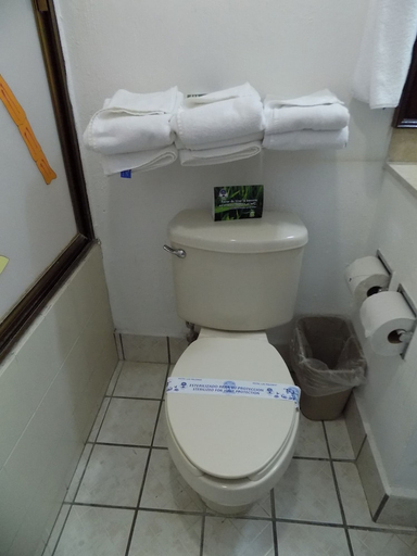 Bathroom 3, Hotel Las Palomas, Tepic