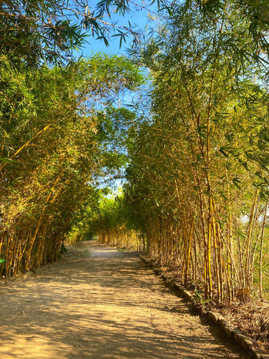 Others 2, Thanh Chiêm Village, Da Nang