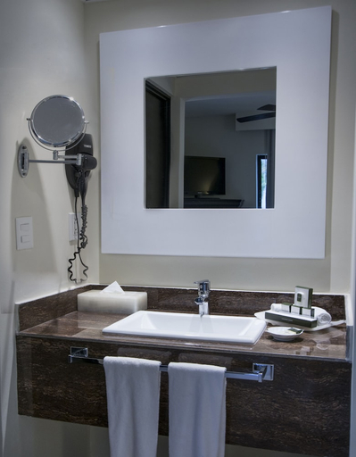 Bathroom 5, Allegro Playacar, Cozumel
