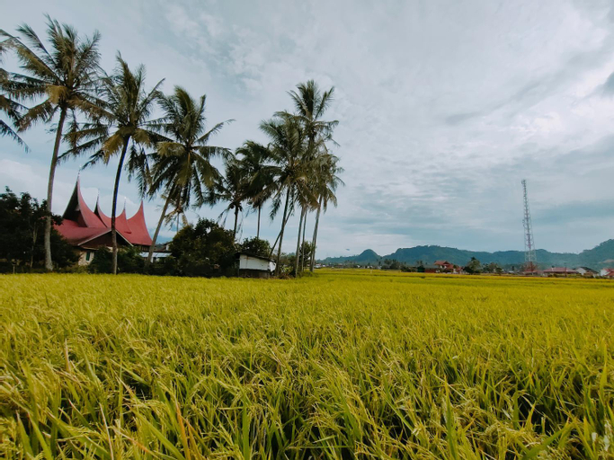 Scenery 14