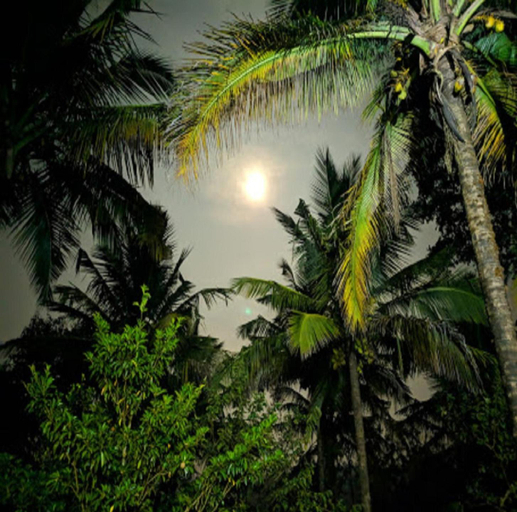 Others 5, Hasiru Farms Homestay by StayApart, Chikmagalur