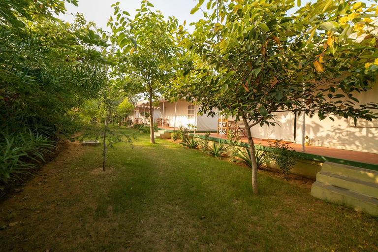 Others 5, Madho Bagh, Sawai Madhopur