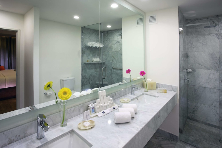 Bathroom 5, HS HOTSSON Hotel Querétaro, Querétaro