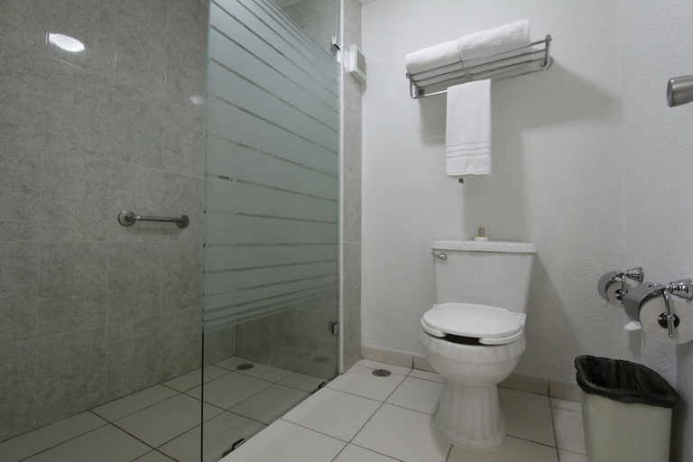 Bathroom 4, Quinta Dorada Hotel and Suites, Saltillo