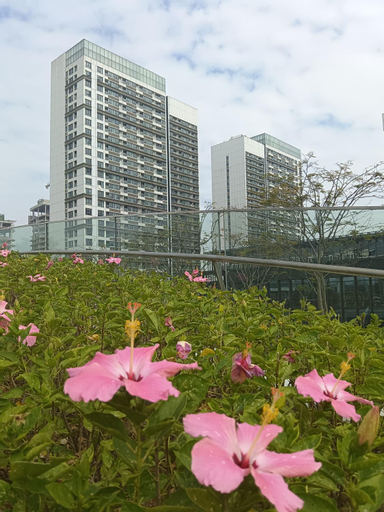 Exterior & Views 2, Royal Executive Apartment, Shenzhen World Exhibition & Convention Center, Nearby Shenzhen World Nort, Shenzhen