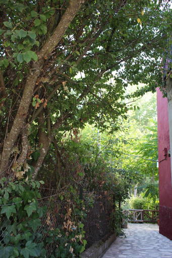 Garden 5, El Balcon del Hueznar, Sevilla