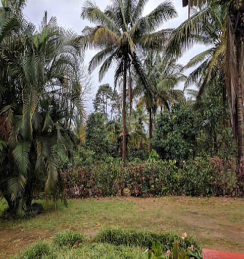 Others 4, Hasiru Farms Homestay by StayApart, Chikmagalur