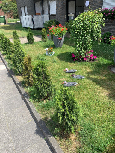 Others 5, Home24, Oberhausen