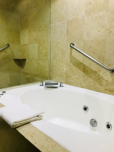 Bathroom 4, Real Inn San Luis Potosí, San Luis Potosí