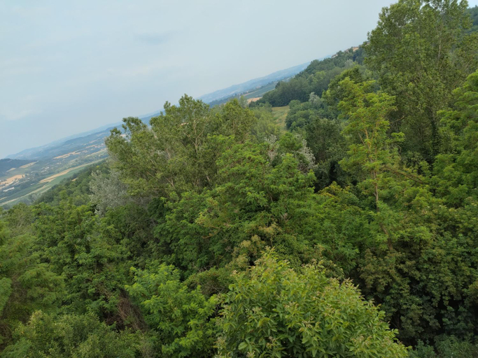 Others 3, Il Balcone di Napoleone, Cuneo