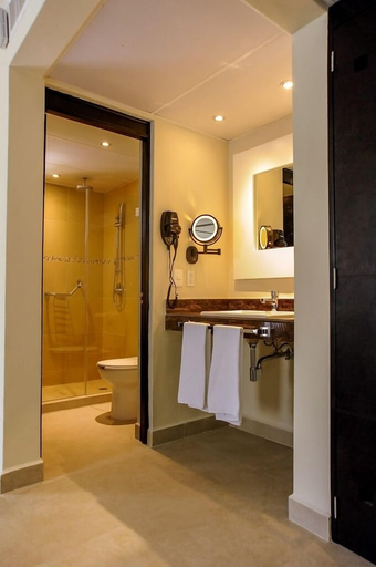 Bathroom 5, Allegro Playacar, Cozumel