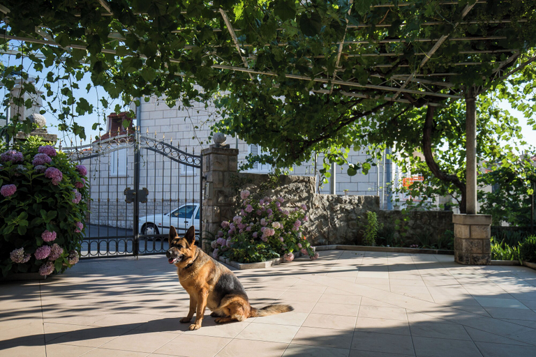 Exterior & Views 2, Apartment Vukic, Dubrovnik