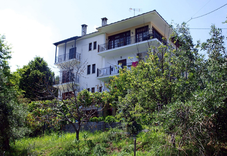 Primary image