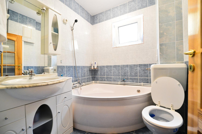Bathroom, Casa Vio, Hateg