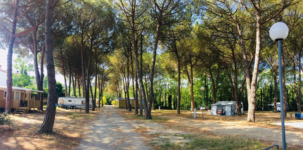 View, Camping Maureillas, Pyrénées-Orientales