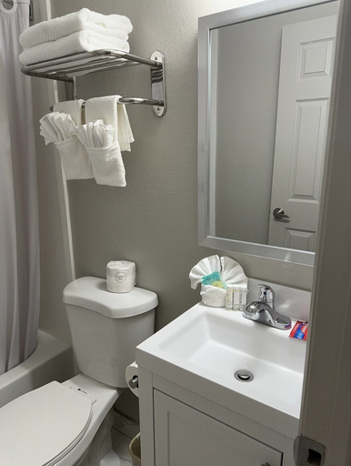 Bathroom 4, Ritz Motel, Union