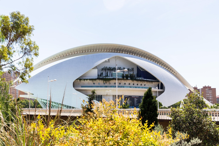 Exterior & Views 2, Sercotel Valencia Alameda 41, Valencia