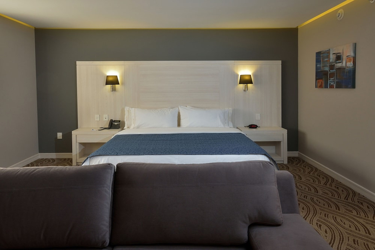 Bedroom 3, Holiday Inn Express PACHUCA by IHG, San Agustín Tlaxiaca