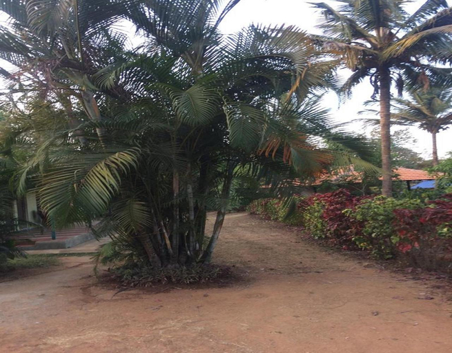 Others 5, Hasiru Farms Homestay by StayApart, Chikmagalur