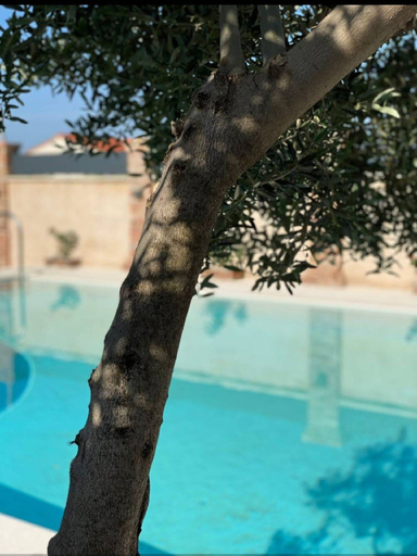 Sport & Beauty 3, Villa Stalla, Kaštela