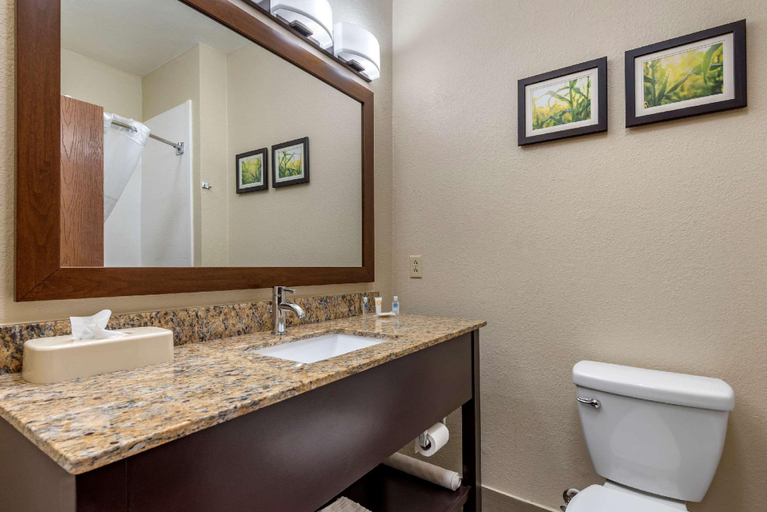Bathroom 4, Comfort Suites Auburn near I-69, De Kalb