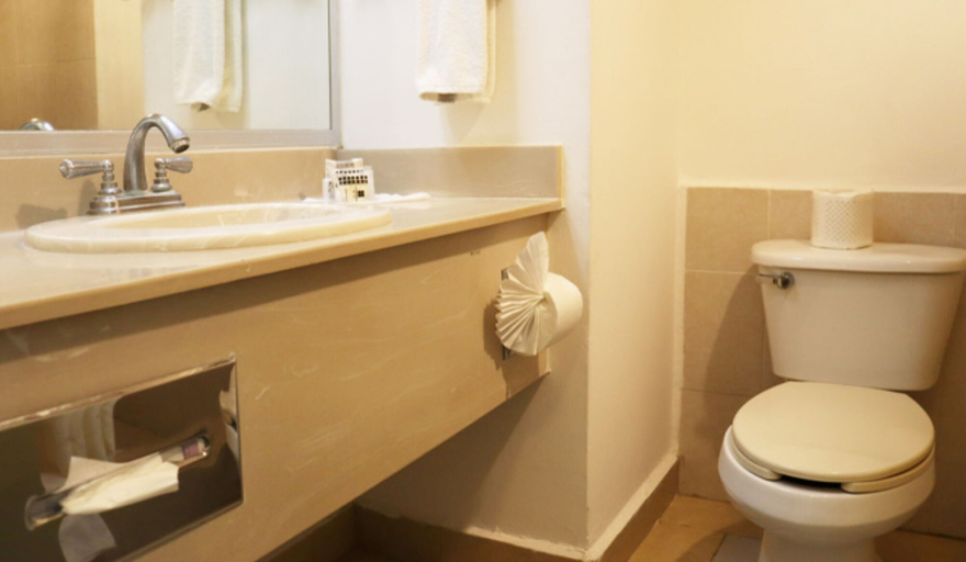 Bathroom, Araiza Palmira Hotel, La Paz