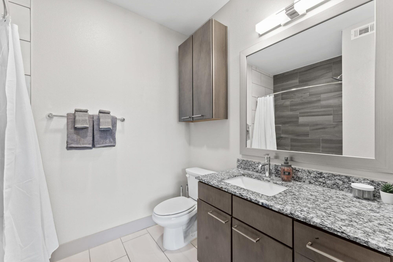Bathroom 4, Airy 1BR King Suite Close to Downtown w Fast Wifi, Travis